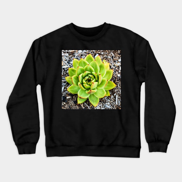 Beautiful Green Aloe Crewneck Sweatshirt by thadz